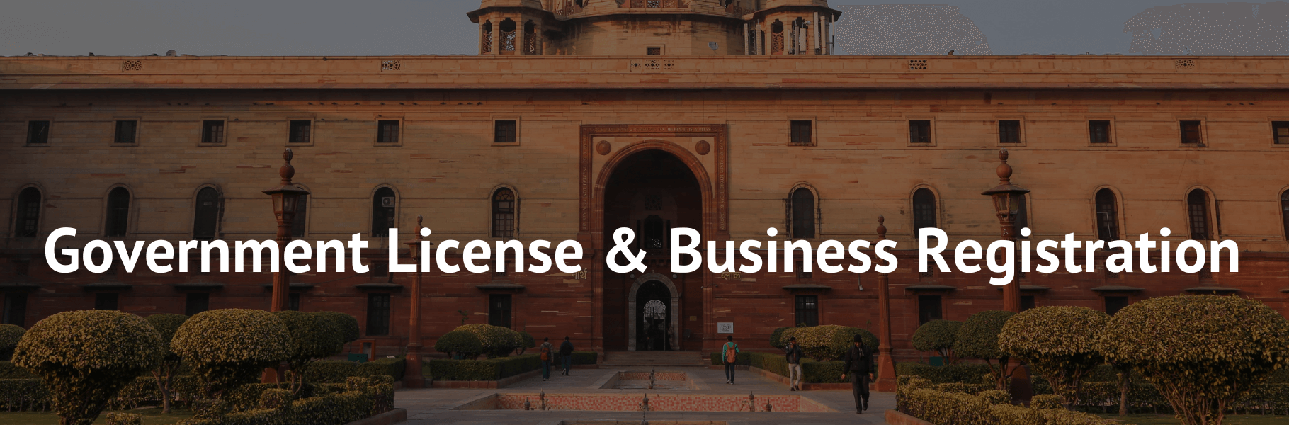 Government License and Business Registration